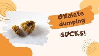 Oxalate Dumping  How to tell the difference between dumping and everything else [upl. by Teri]