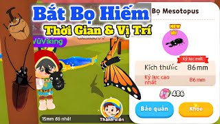 Play Together Bắt Bọ Hiếm Mới Thời Gian Vị Trí Chi Tiết [upl. by Tioneb]