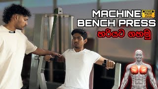 හොද පපුවක් හදාගන්න ආස අය බලන්න  Machine Bench Press Tutorial🇱🇰 [upl. by Araz52]