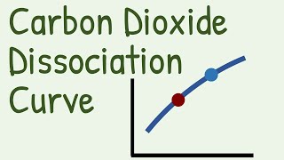 Carbon Dioxide Dissociation Curve [upl. by Nahoj]