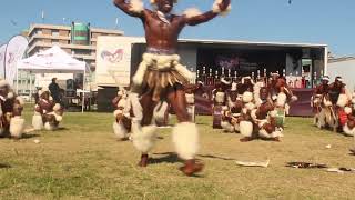 Kangaroo Zulu Dancers [upl. by Annazor148]