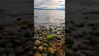 SCOTLAND CHANONRY POINT FORTROSE shortvideo youtubeshorts trendingshorts travellerbidisha [upl. by Welbie]