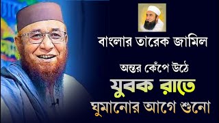 কলিজা ছিরে কান্না আসে  mufti nazrul islami Kasemi waz  মুফতি নজরুল ইসলাম কাসেমী ওয়াজ ২০২৪। [upl. by Levison251]