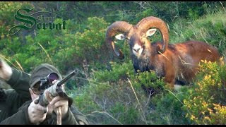 Hunting Mouflon in Croatia  on island Dugi Otok [upl. by Feerahs]