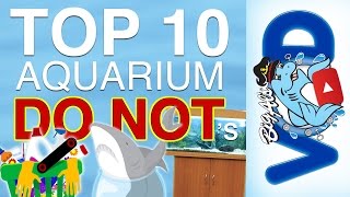 Top 10 Aquarium Do Nots  BigAlsPetscom [upl. by Patton]