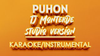 Puhon  Tj Monterde KARAOKE STUDIO VERSION [upl. by Adnael]