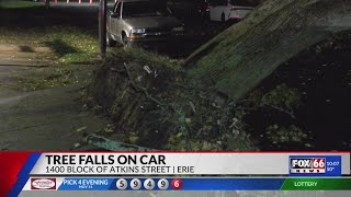 City of Erie sees temporary road closure after tree falls on car Monday evening [upl. by Isidora397]