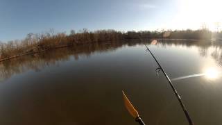 Arbogast Jitterbug  Huge blowup on topwater [upl. by Aicsila822]