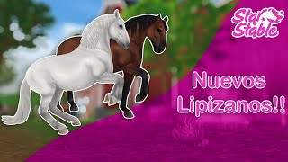 Los nuevos Lipizanos Nuevas funciones  Star Stable Online [upl. by Tome333]