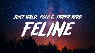 Juice WRLD  Feline Lyrics ft Polo G amp Trippie Redd [upl. by Atnes]