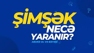 Şimşək necə yaranır  Rəsul Əsgəroğlu [upl. by Eedeed]