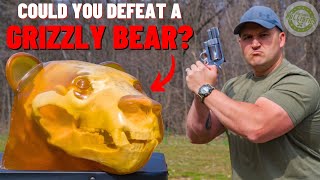 Could You Defeat A GRIZZLY BEAR [upl. by Nennarb]