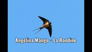 Angelina Mango  La Rondine [upl. by Wasson]