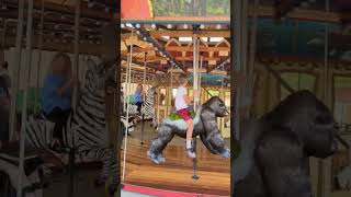 Carousel at Hogle Zoo [upl. by Lubbock271]