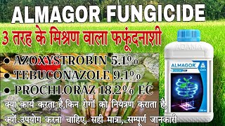 Adama Almagor fungicide  Azoxistrobin  Tebuconazole  prochloraz  Almagor सम्पूर्ण जानकारी [upl. by Radmilla]