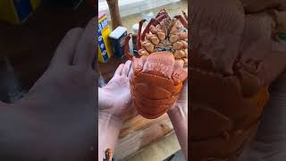 Spiny Lobster add Butter [upl. by Shank88]