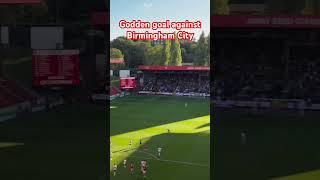 Godden goal against Birmingham City charlton football [upl. by Brewer8]