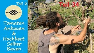 Tomaten Anbauen amp Hochbeet Selber Bauen DIY Teil 2 Folge 34 [upl. by Aziar362]