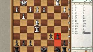 Blitz Chess 3 with Live Comments  Reti Opening vs GM Seirawan b loss [upl. by Annoed999]