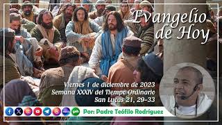 Reflexión del Evangelio de hoy  Viernes 1 de diciembre de 2023 [upl. by Fernando]