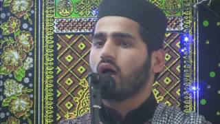 Hammad Ali Qadri [upl. by Georgena]