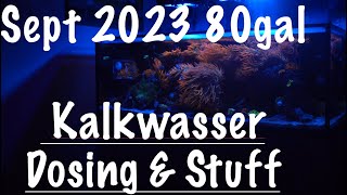 80gal Lagoon Update on Kalkwasser Dosing September 2023 [upl. by Cato]