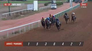 Live Hippodrome « CASABLANCA »  Courses du «30092024 » [upl. by Eneleahcim421]