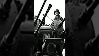 2 cm Flakvierling 38 flak aagun ww2 german [upl. by Enilekaj]