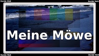 Meine Möwe dtG15 [upl. by Erehs]