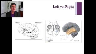 Lecture 5 The Temporal Lobe [upl. by Hallvard]