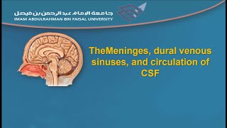 The Meninges dural venous sinuses and circulation of CSF [upl. by Heer]