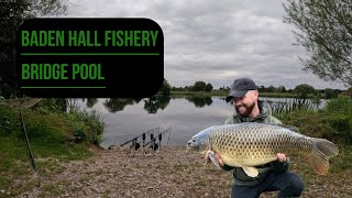 BADEN HALL FISHERY  BRIDGE POOL  CARP FISHING  AUTUMN 2024 [upl. by Etterual]