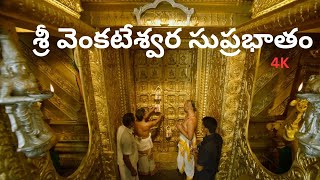 Suprabhatam  Venkateswara Swamy  సుప్రభాతం  Trendy Trends MK [upl. by Christianity]