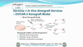 Altogen Labs OVCAR3 Ovarian Cancer Xenograft [upl. by Arraik146]