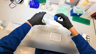 POV Flow Cytometer Fundamentals [upl. by Oicatsana]