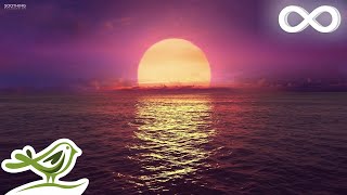 8 Hours of Relaxing Sleep Music Ocean Waves Relaxing Music Sleeping Music Calming Music ★146 [upl. by Cuthburt787]