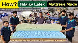 How Talalay Latex Mattress Made in Factory The Mattress Company Manufacturing Plant [upl. by Retloc746]