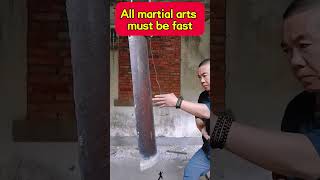 All martial arts must be fast kungfu [upl. by Forster]