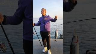 İSTANBUL BOĞAZI KURŞUNARKASI keşfet melafish palamuttarabya istsnbulboğazıfishingsurfcasting [upl. by Smeaj227]