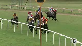 DAVIDS DELIGHT with K RAJESH up wins The Big Deal Plate 2024 RACE 2 [upl. by Neelahs]