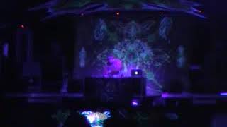 Koan Live 26 11 2010 [upl. by Ahseken]