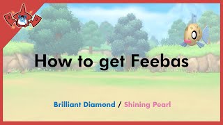 How to get Feebas in Pokemon Brilliant Diamond amp Shining Pearl 349 [upl. by Anwahsar346]