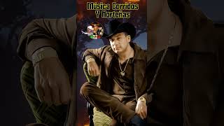 Tristes Recuerdos  Valentin Elizalde Musica [upl. by Akirrehs855]