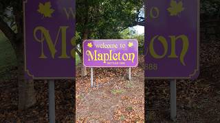 Mapleton The Blackall Range Sunshine Coast Hinterland Queensland Australia 🍁💜🇦🇺 [upl. by Aierdna]