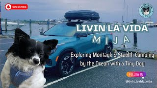 Explore Montauk amp Stealth Camping by the Ocean wTiny Dog 🌊🚙  Livin La Vida Mija Ep 5 dogtravel [upl. by Nemra]