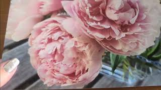 Peonies at Home 12 x 8 Metallic Print [upl. by Ramos]