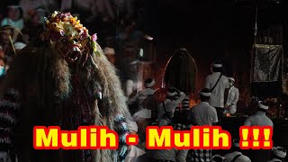 Ratu Gede Manik Ubud Mebaos diPemuunan Setra Dalem Puri [upl. by Hillell]