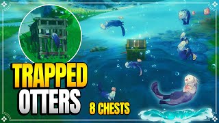 Save The Trapped Otters  8 Otter Chests  World Quests amp Puzzles 【Genshin Impact】 [upl. by Puri]