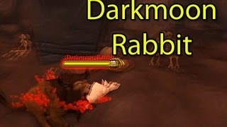 Mists of Pandaria Beta Darkmoon Faire Rabbit  WoWcrendor [upl. by Attah537]