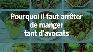 Pourquoi il faut arrêter de manger tant davocats [upl. by Casimire]